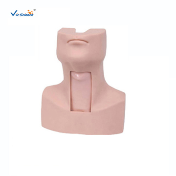 Advance Thyrocricocentesis Tracheostomy Simulator Model