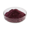 Factory Supply Pure Grape Seed Extract Powder