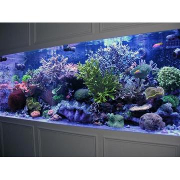 Grande tanque de peixes de aquário de acrílico para restaurante