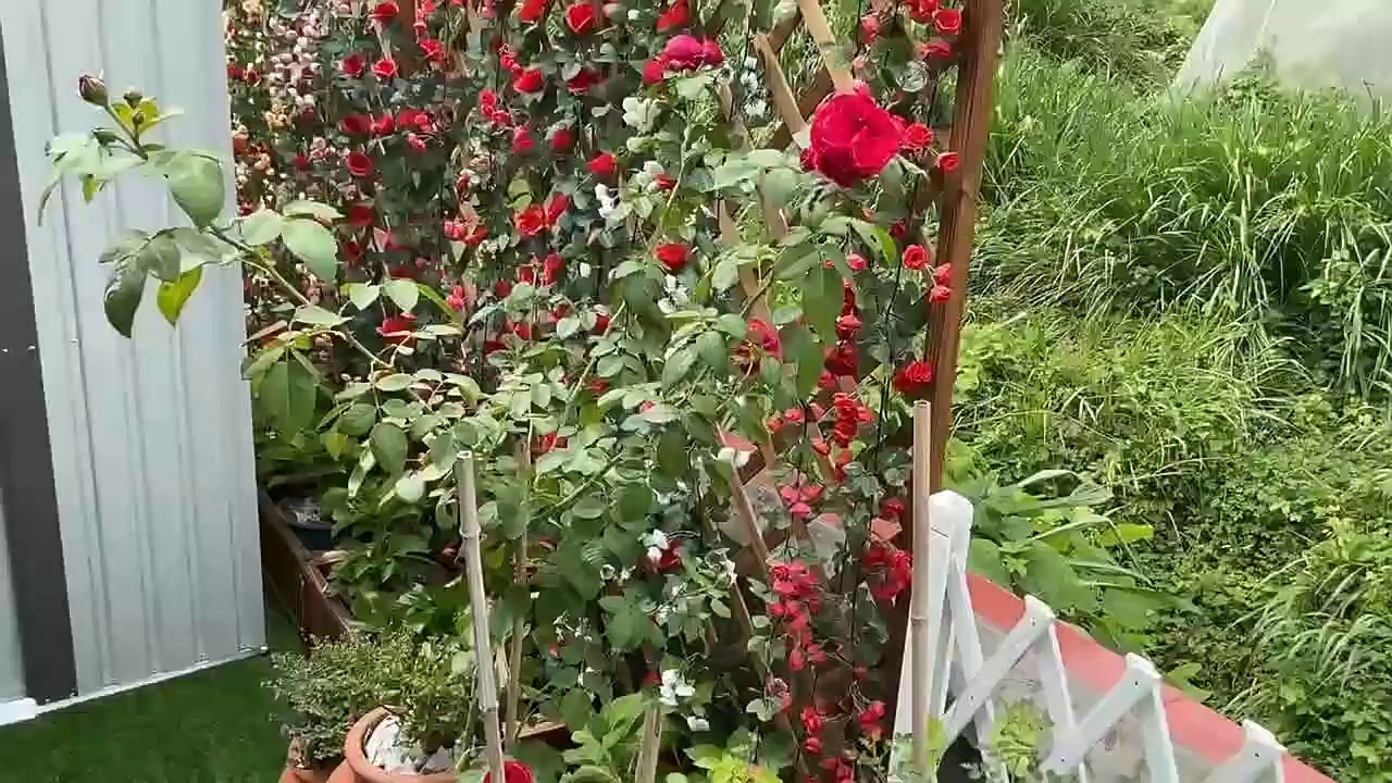 Compact Foldable Storage Unit for Garden and Workshop Use