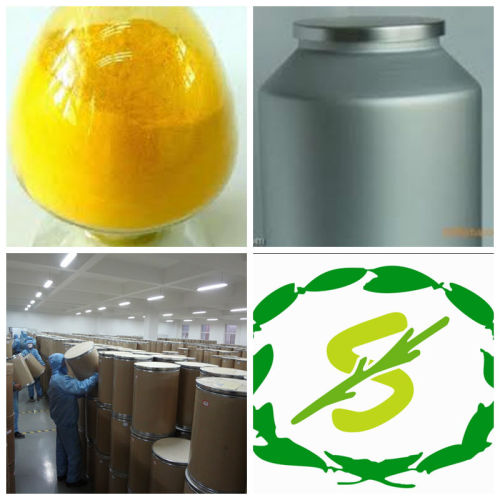 Fermentation Coenzyme Q10/co Q10 Best Quality, High Quality ...