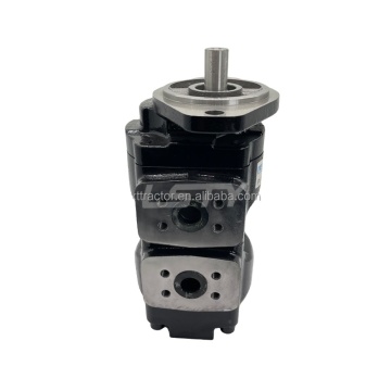 Parker PGP620 Series Heavy Duty Cast Iron Tandem Pump