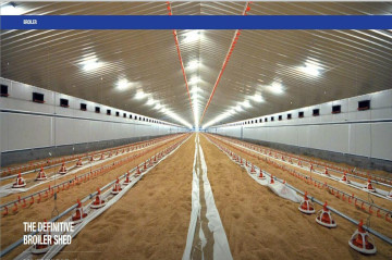 Chicken Poultry Shed Design (br00168)