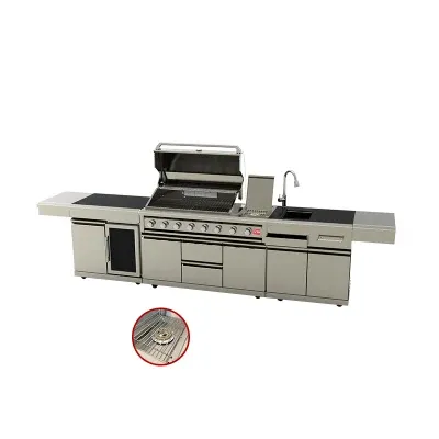 Modern Design Kitchen Cabinet Gas Grills BBQ with Wine Cooler