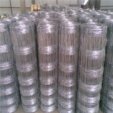 5ft height cattle iron wire mesh fencing galvanized