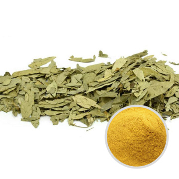 Senna Leaf Extrait Powder Natural Radix 10: 1 Organic