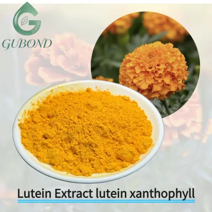 Lutein Extract lutein xanthophyll for Eye Health Nutritional