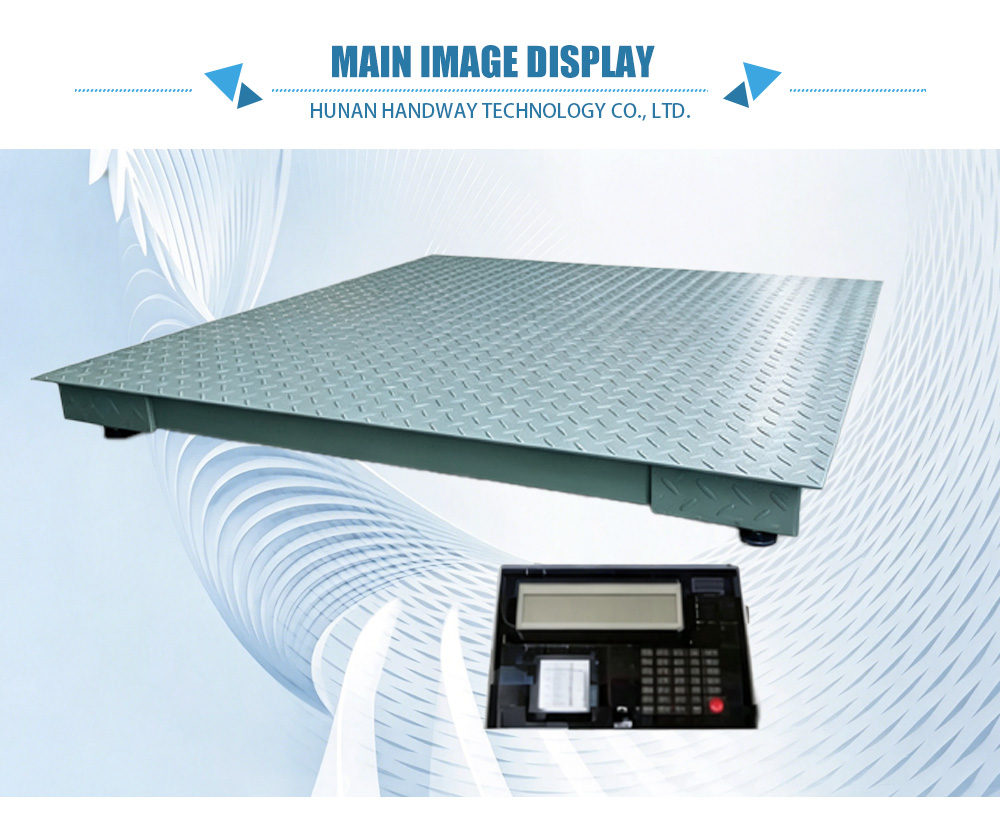 Electronic Truck and Platform Scales-x