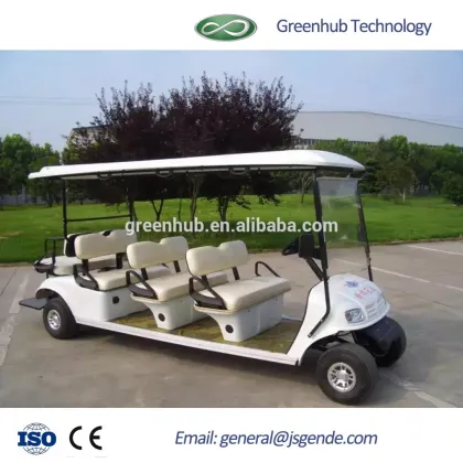 6 Seaters electric sightseeing car