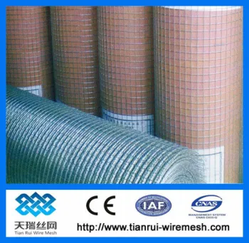 Bird cage galvanized welded wire mesh