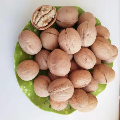 Walnut Wholesale Price Xinjiang Aksu Walnuts Thin Shell Walnuts