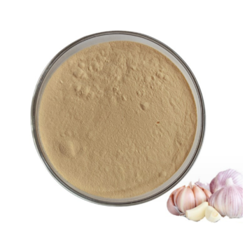 garlic extract allicin allicin garlic extract