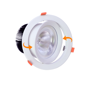 High-Power COB LED Downlight with Heat Sink Aluminum