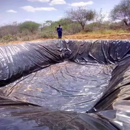 40 Mils HDPE Waterproof Impermeable Linerfor Dam