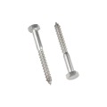 1/4 X 4 Stainless Steel Lag Screws