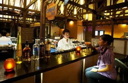 Modern Restaurant & Bar Equipment: Open Kitchen & Cocktail Bar Setup