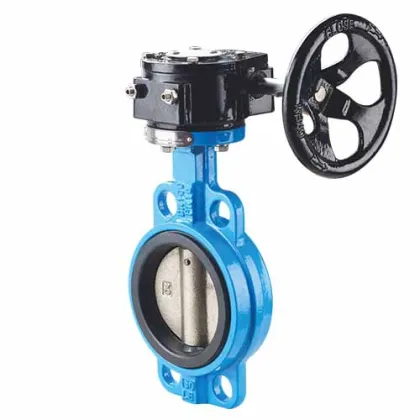Clip-on soft-sealed butterfly valve