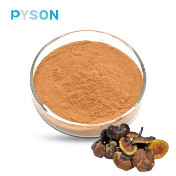 Reishi Mushroom Extract 50% UV (from Mycelium )