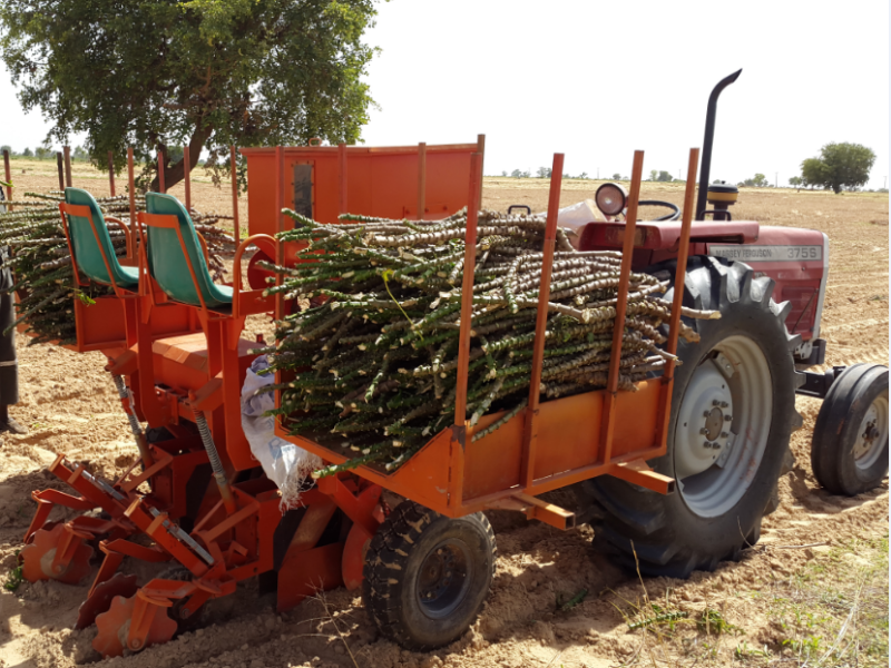 Manioc planter