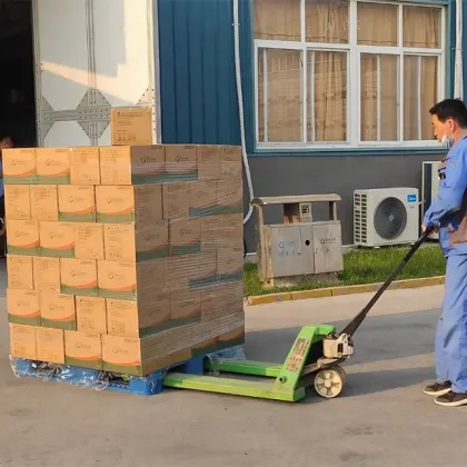 nitrile examination gloves ISO9001 Medical grade palmwell disposable nitrile gloves