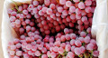 mejores uvas globales rojas xinjiang