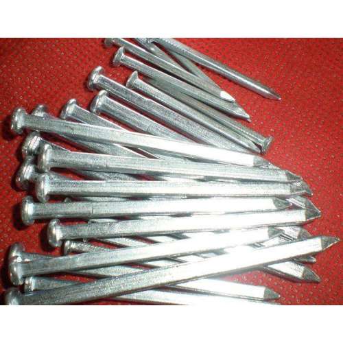 Galvanized Square Cut Nails Electro Galvanized Square Nails Supplier