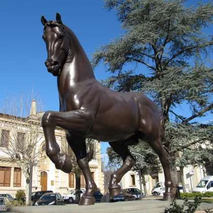 Popular Design Horse Sculpture adelaide art gallery with 15 years Foundry