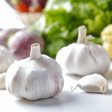 Organic garlic powder price garlic powder origin
