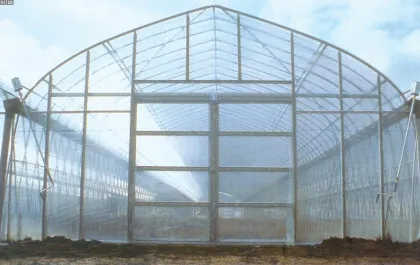 Sunny Greenhouse door