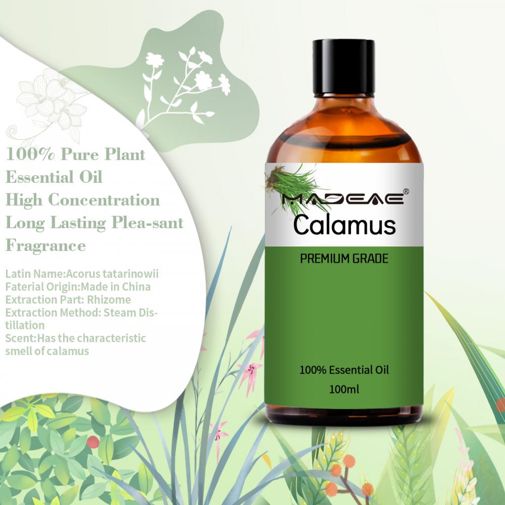 Minyak esensial calamus grosir untuk tingkat terapi diffuser aroma