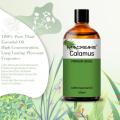 Minyak esensial calamus grosir untuk tingkat terapi diffuser aroma