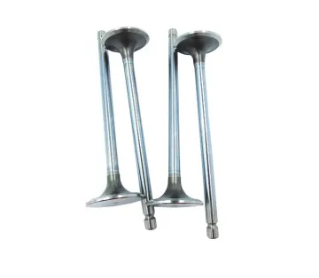 ISDE Engine Parts ISDE Intake Valve 3940735