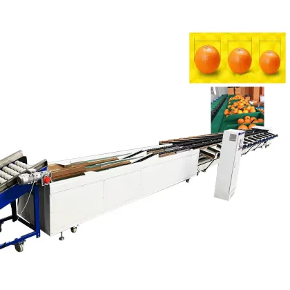 Fruit and Vegetable Grading Sorting Machine with Inspection Conveyor