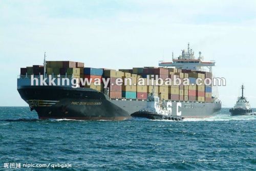 Professional shipping agent in China/best sea freight
