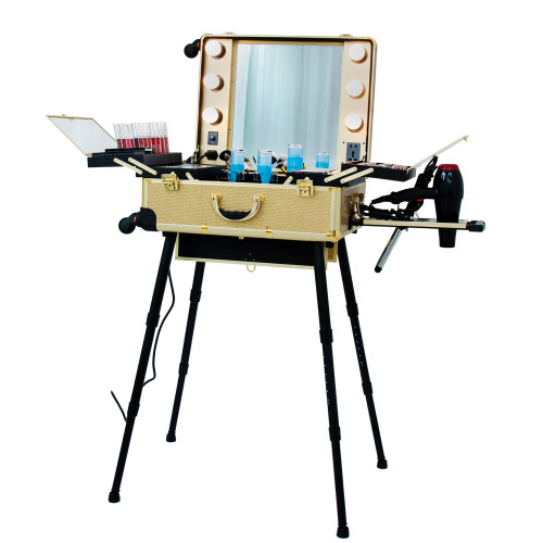 Professional Gold Travel Cosmetic Bag Makeup Case with Lights Mirror