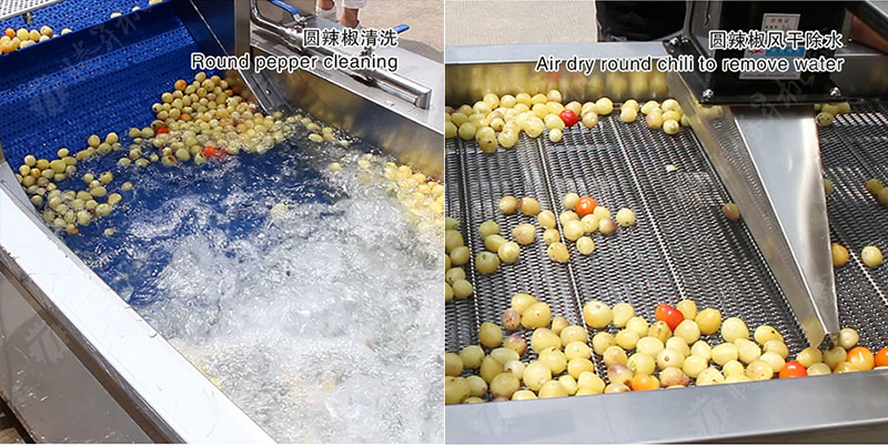 vegetable processing production line