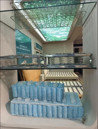 1.8m Household Brown Latex Mattress