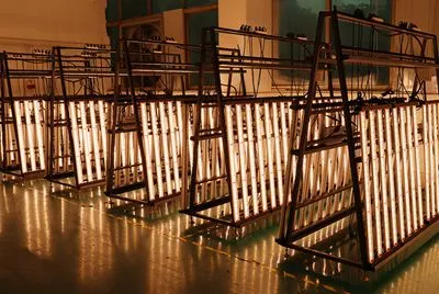 Full Spectrum 640w Grow Light for Medicine