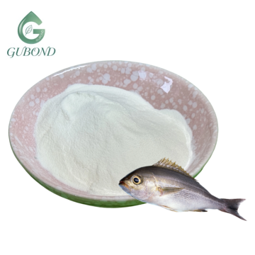 كولاجين السمك للتطبيقات الغذائية والغذائية