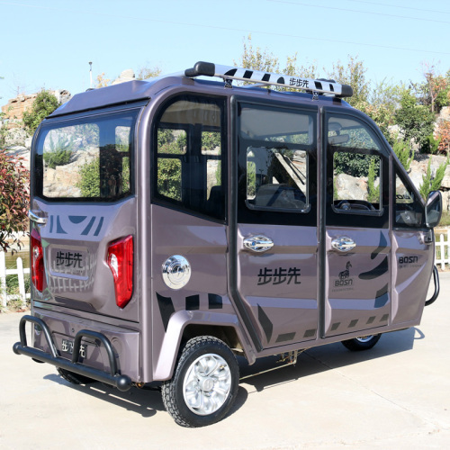 Family Use Fully Enclosed Electric Tricycles For Passenger