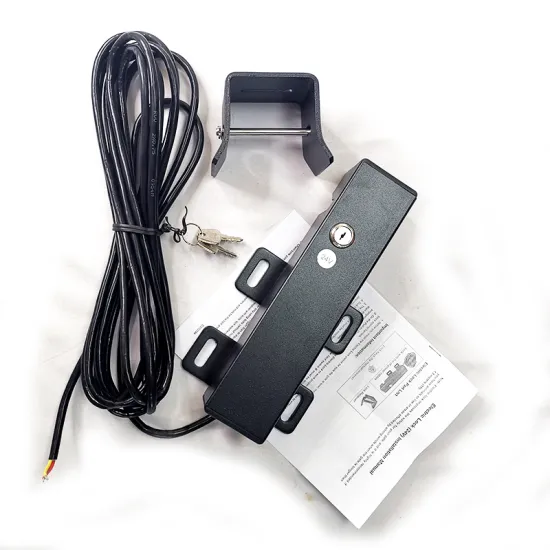 12VDC and 24VDC Electric Locks for Automatic Swing Gates