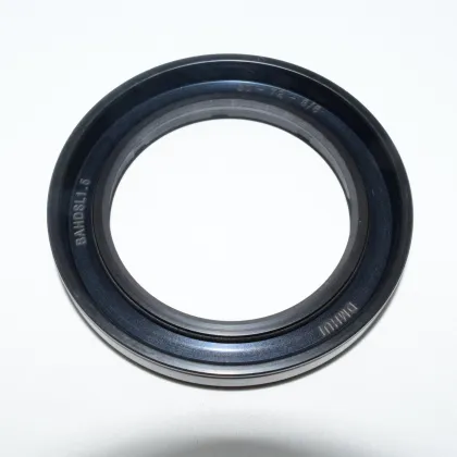 BAHDSL1.5 High Pressure Shaft Rubber Hydraulic Pump Oil Seal 50*72*8/6 Pentair PVM