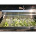 ST-SQX1800 Collection Tank Industrial Vegetable Washer