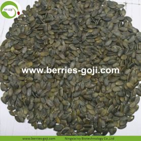 Raw GWS AAA Grade Labu Seed Kernel