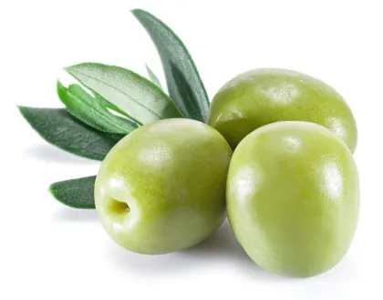 Oleuropein Olive Leaf Extract