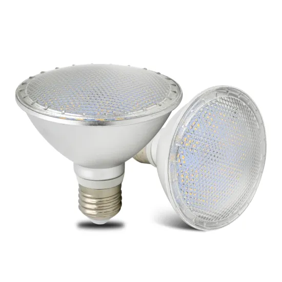 Nordic Standard Bathroom LED Spotlight IP65 Waterproof Dimmable PAR30 PAR38 E26 E27