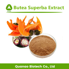 Sexual Enhancing Product Bute Superb Extract Powder 10:1