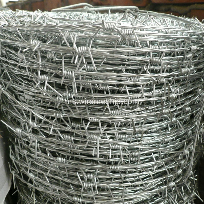 Galvanized Barbed Wire Double Strand Twist Twist