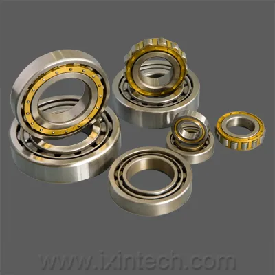 Cylindrical Roller Bearings (NU 206)