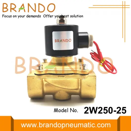 2W250-25 UW-25 Water Solenoid Valve 1'' Inch